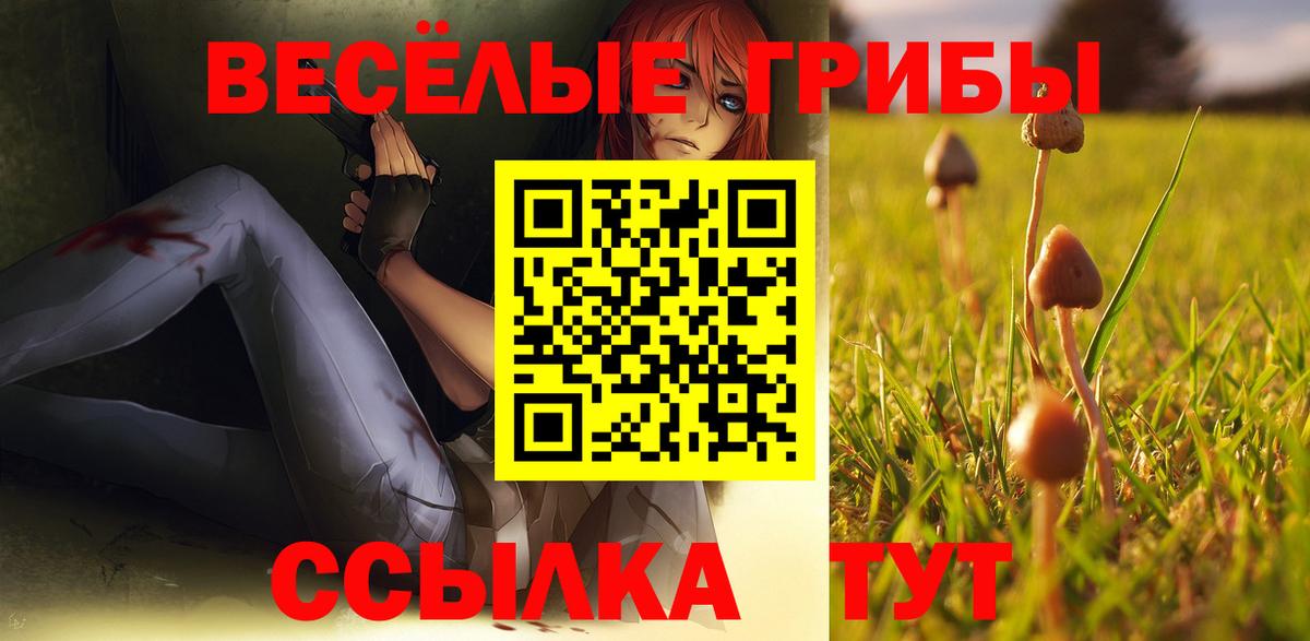 где можно купить   Вход с VPN  Гай  Галлюциногенные грибы мухоморы  Псилоцибиновые грибы прущие грибы 