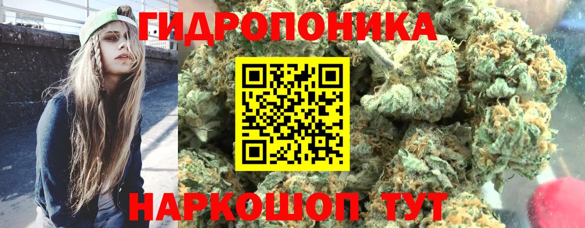 Марихуана сатива Гай